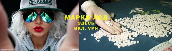дживик Волоколамск