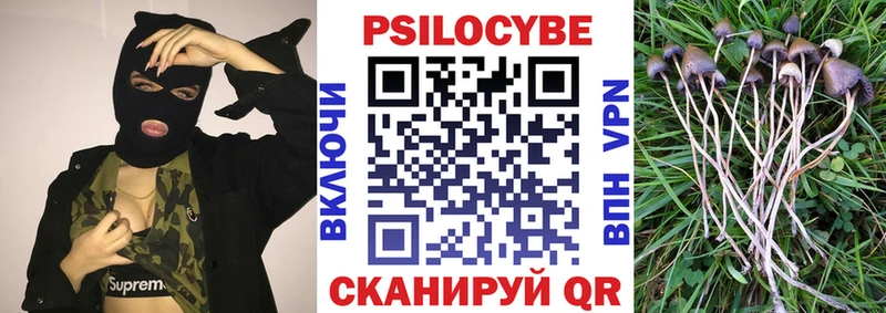 Псилоцибиновые грибы ЛСД  Купить закладки  Полярные Зори 