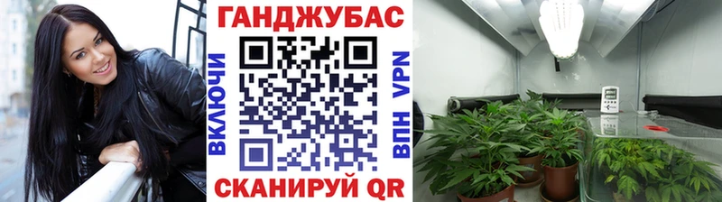 Купить закладки  Полярные Зори  Канабис Bruce Banner 